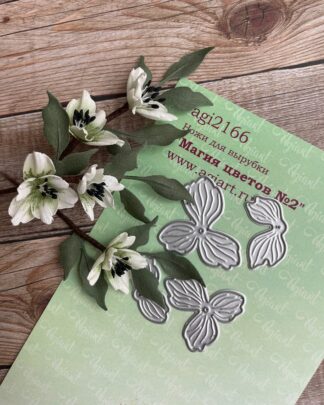 Agiart - die magie de fleurs#2