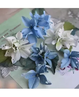 Agiart - die Hortensia Romance