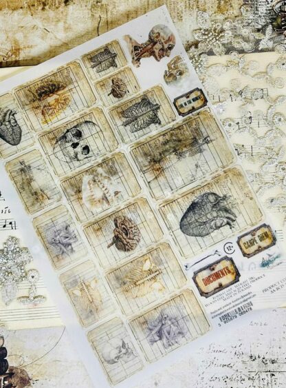 Art Alchemy - Behind Closed Doors - Tracing paper A5 1 feuille 15X21