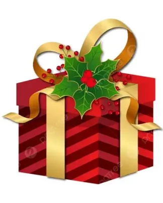 CARTE CADEAUX 100€